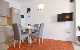 Studio Apartment Visnjik